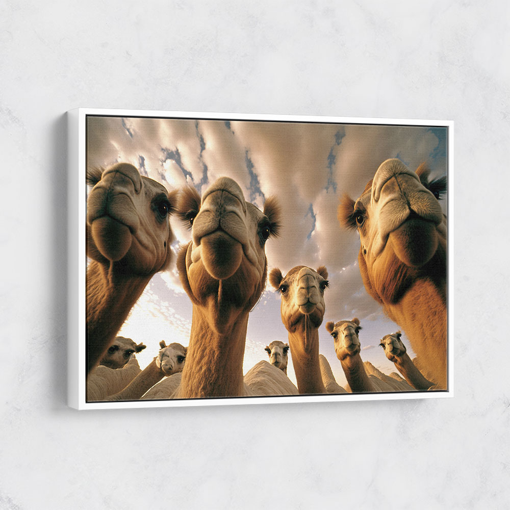 Camels From Below Wall Art